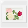 1-92_Seiyo-Soka-Zufu_picture