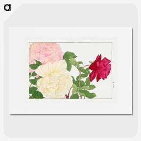 1-92_Seiyo-Soka-Zufu_picture