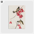 アートポストカード-Rice Bird from Birds of America
 - アメリカの鳥たち Postcard.