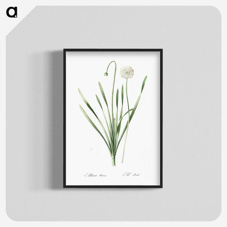 1-92_The-Lilies_blk-crop
