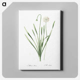 1-92_The-Lilies_canvas