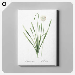 1-92_The-Lilies_canvas
