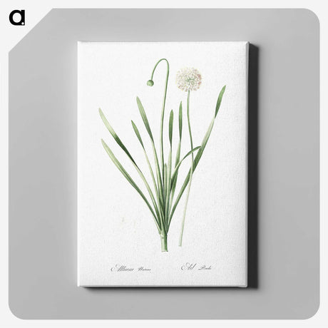 1-92_The-Lilies_canvas