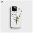 1-92_The-Lilies_phone