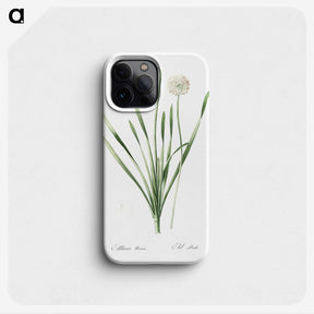 1-92_The-Lilies_phone