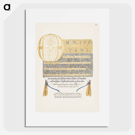 アートポスター-Damselflies from Mira Calligraphiae Monumenta
 - 書道のお手本 Poster.