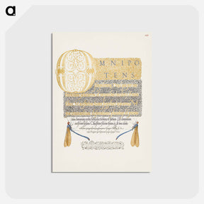 アートポストカード-Damselflies from Mira Calligraphiae Monumenta
 - 書道のお手本 Postcard.