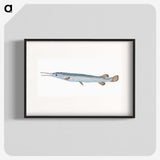 1-92_The-Natural-History-of-British-Fishes_blk