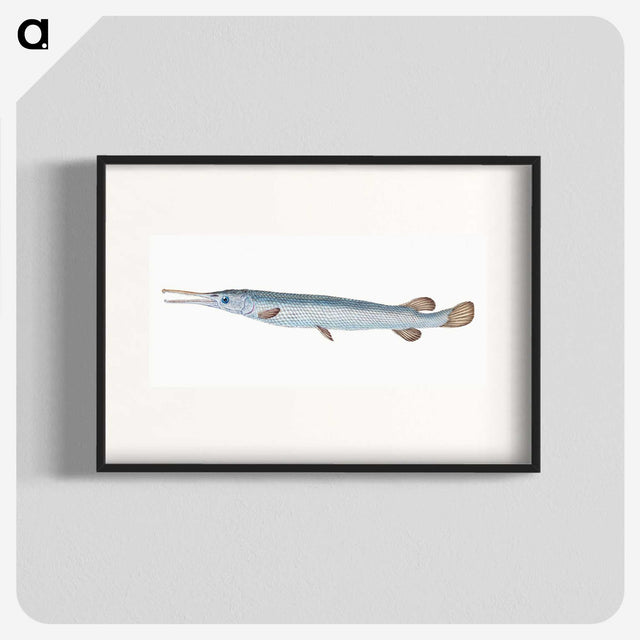 1-92_The-Natural-History-of-British-Fishes_blk