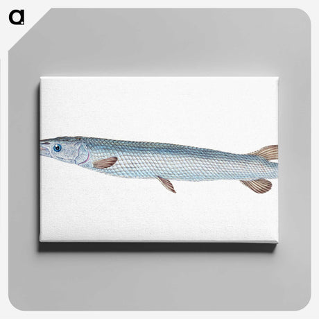 1-92_The-Natural-History-of-British-Fishes_canvas