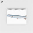 1-92_The-Natural-History-of-British-Fishes_memo