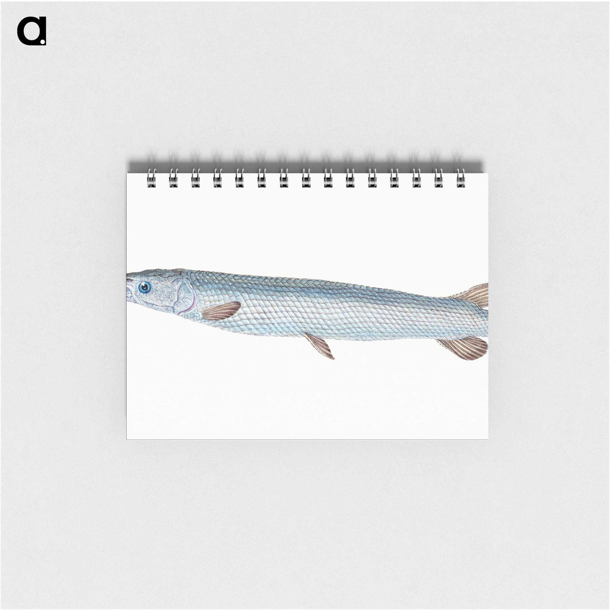 1-92_The-Natural-History-of-British-Fishes_memo