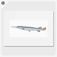 1-92_The-Natural-History-of-British-Fishes_picture