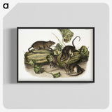 1-92_The-Viviparous-Quadrupeds_blk-crop