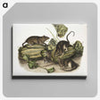 1-92_The-Viviparous-Quadrupeds_canvas
