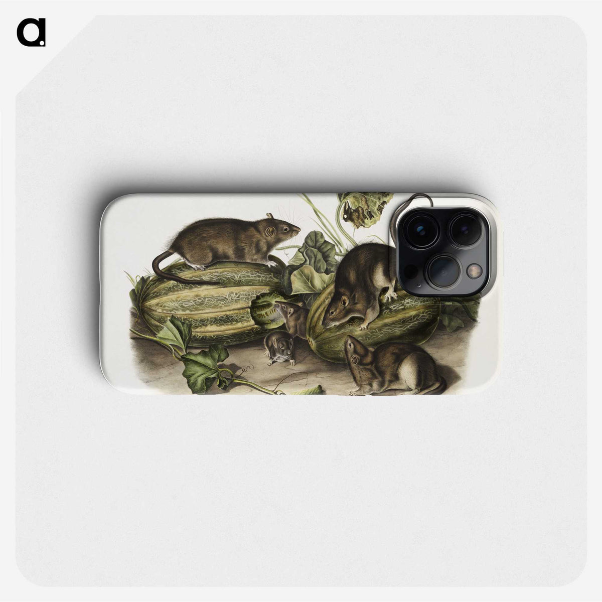 1-92_The-Viviparous-Quadrupeds_phone