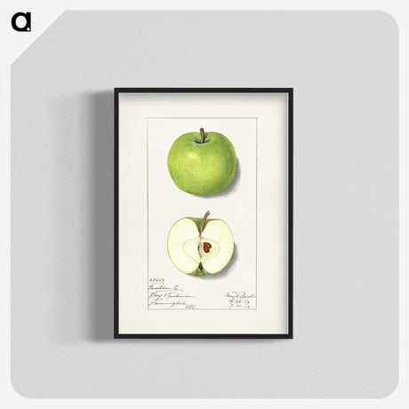 1-92_USDA-Watercolor-Fruit-Painting-Collection_blk-crop