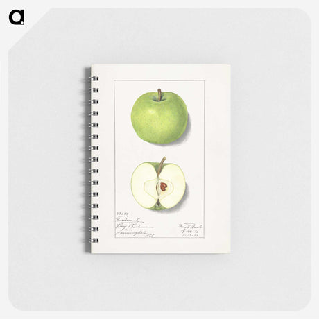 1-92_USDA-Watercolor-Fruit-Painting-Collection_memo