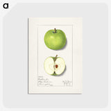 1-92_USDA-Watercolor-Fruit-Painting-Collection_postcard