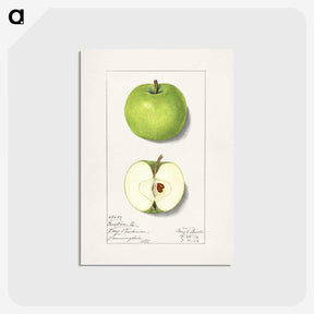 1-92_USDA-Watercolor-Fruit-Painting-Collection_postcard