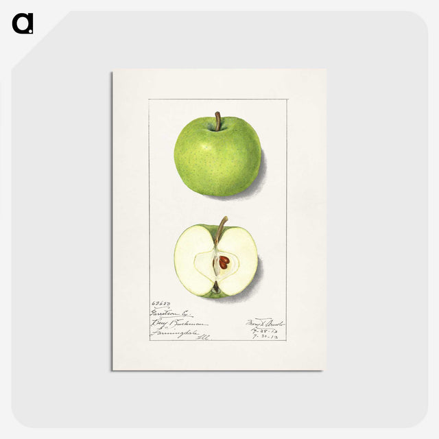 1-92_USDA-Watercolor-Fruit-Painting-Collection_postcard