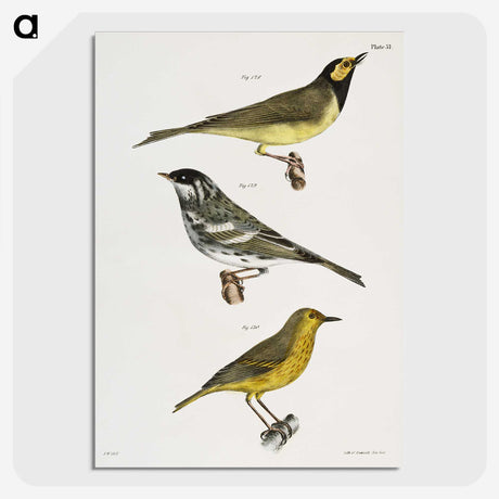 1-92_Zoology-of-New-York_picture-crop