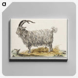 1-93_Anselmus-Boetius-de-Boodt_canvas