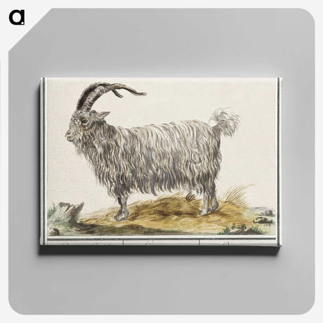 1-93_Anselmus-Boetius-de-Boodt_canvas