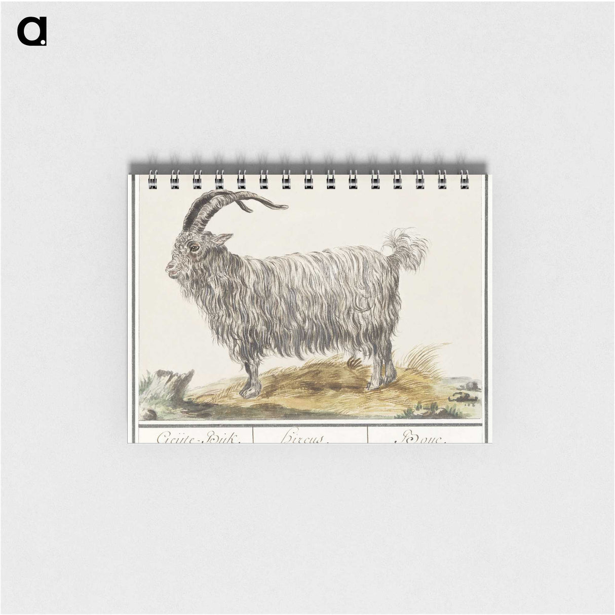 1-93_Anselmus-Boetius-de-Boodt_memo