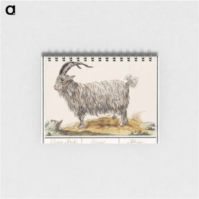 アートメモ帳-Goat - アンセルムス ボエティウス デ ブート Memo.