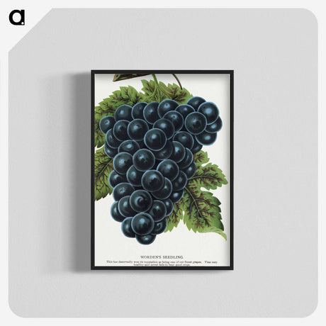 1-93_Botanical-Specimen-Plates_blk-crop