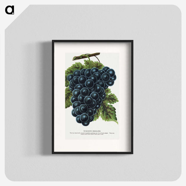 1-93_Botanical-Specimen-Plates_blk