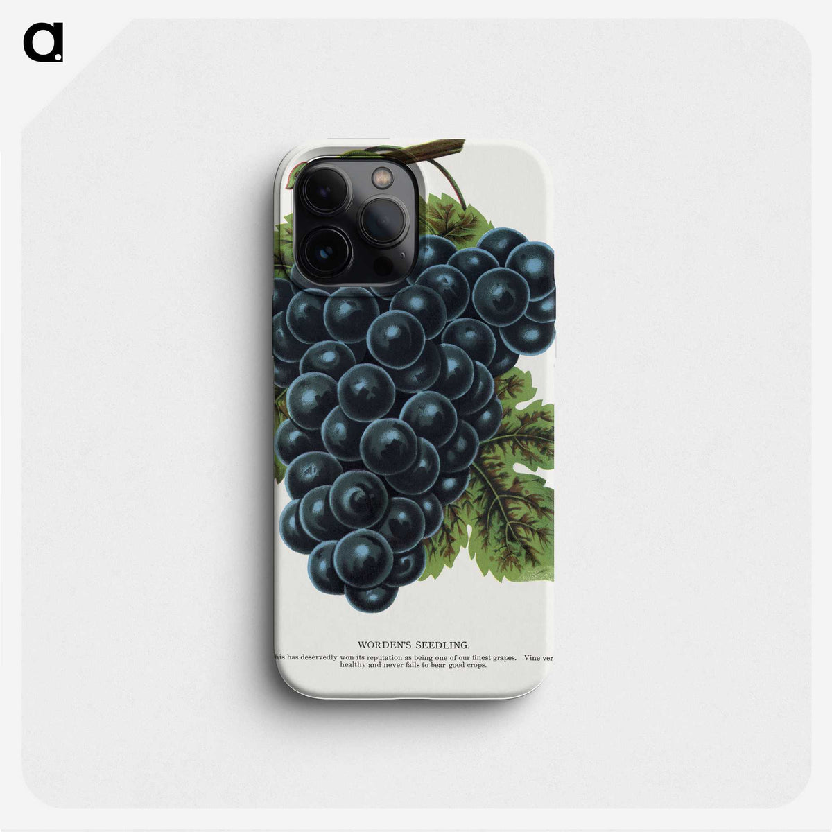 1-93_Botanical-Specimen-Plates_phone
