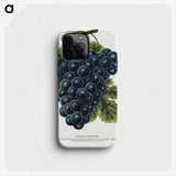 1-93_Botanical-Specimen-Plates_phone