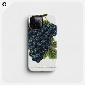 1-93_Botanical-Specimen-Plates_phone