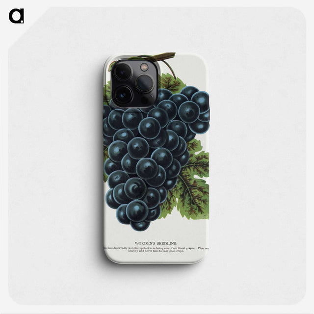 1-93_Botanical-Specimen-Plates_phone