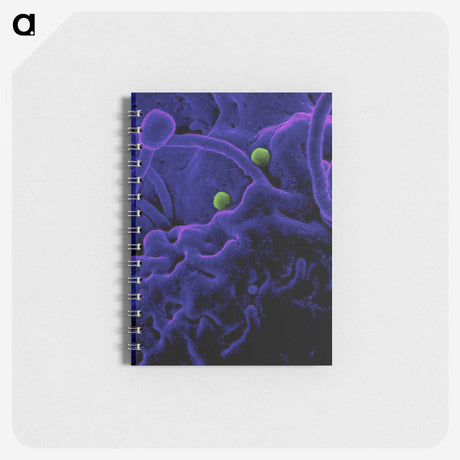 1-93_COVID-19_memo