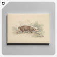 1-93_Charles-Hamilton-Smith_canvas