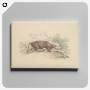1-93_Charles-Hamilton-Smith_canvas