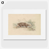 1-93_Charles-Hamilton-Smith_picture
