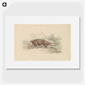 1-93_Charles-Hamilton-Smith_picture