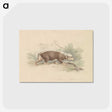 1-93_Charles-Hamilton-Smith_postcard