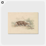 1-93_Charles-Hamilton-Smith_postcard