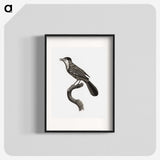 1-93_Des-Oiseaux-de-Paradis_blk