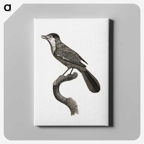 1-93_Des-Oiseaux-de-Paradis_canvas