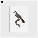 1-93_Des-Oiseaux-de-Paradis_hagaki