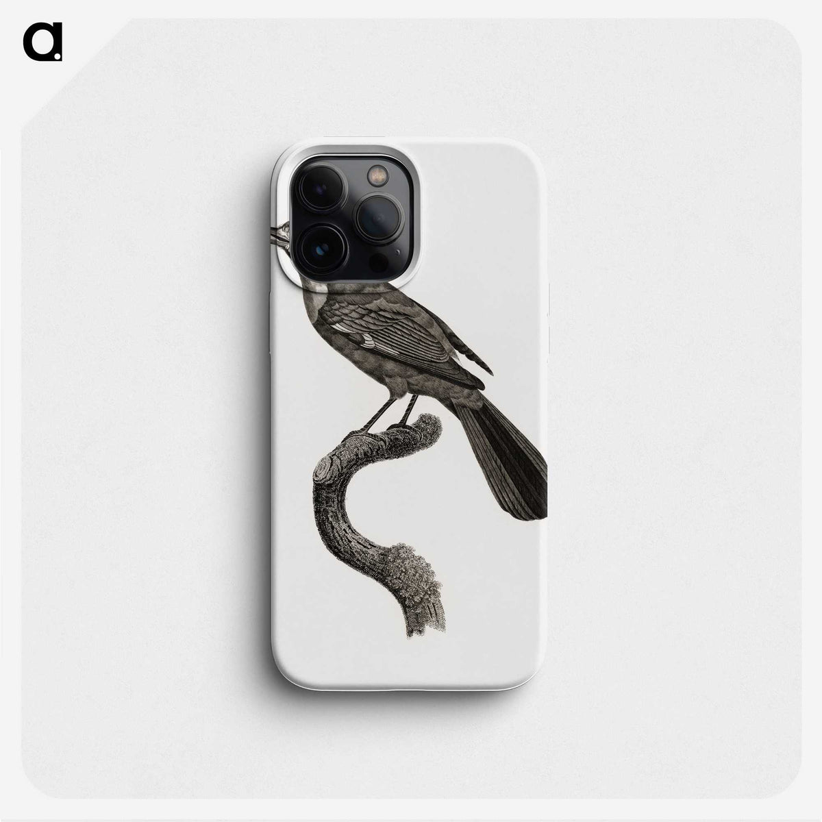 1-93_Des-Oiseaux-de-Paradis_phone