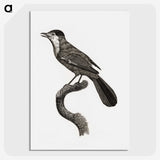 1-93_Des-Oiseaux-de-Paradis_picture-crop
