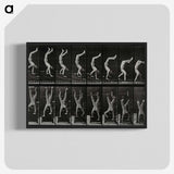 1-93_Eadweard-Muybridge_blk-crop