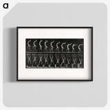 1-93_Eadweard-Muybridge_blk